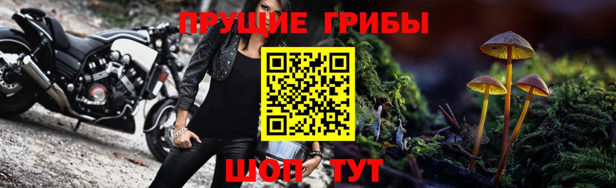 Усть-Джегута  сколько стоит  Вход с VPN  Галлюциногенные грибы GOLDEN TEACHER 