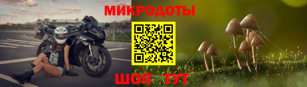 Галлюциногенные грибы Psilocybine cubensis Усть-Джегута